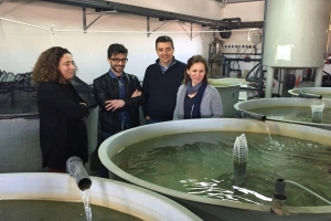 El IMIDA lleva a cabo proyectos de investigación para desarrollar una acuicultura sostenible en la Región