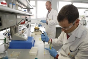Noticia La Verdad: La UMU y el Imida colabora en la obtención de nanopartículas de seda para aplicaciones biomédicas